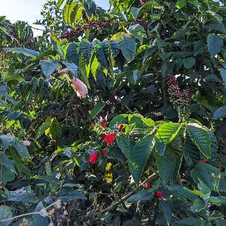 Ivy Coffee Farm - Garden House Apartment Duc Trong Exterior photo