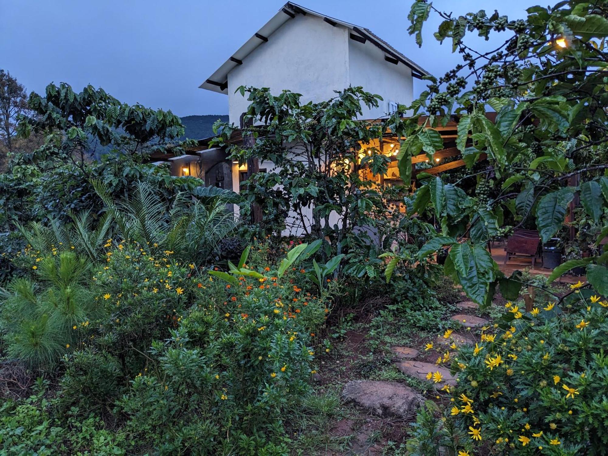 Ivy Coffee Farm - Garden House Apartment Duc Trong Exterior photo
