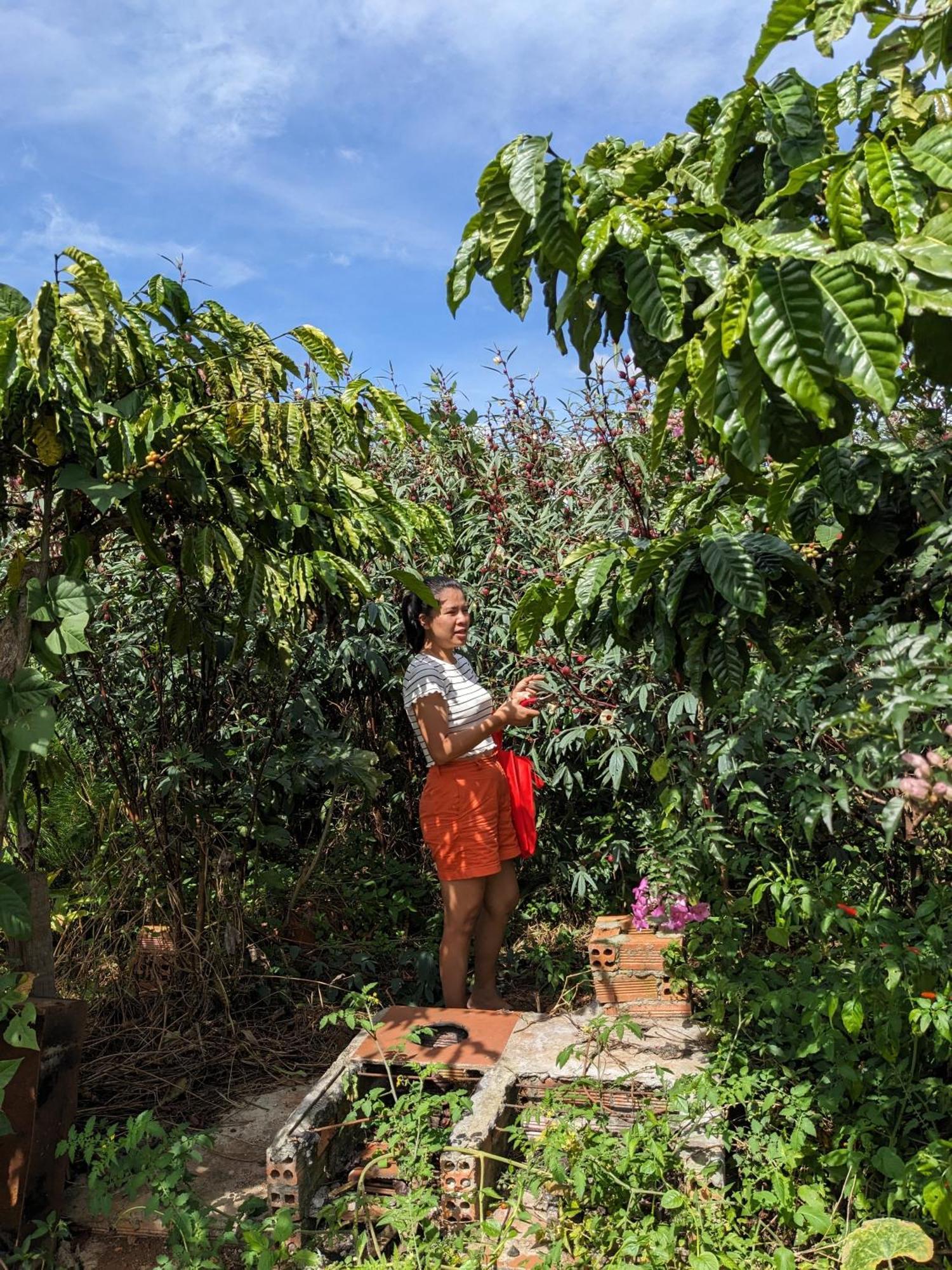 Ivy Coffee Farm - Garden House Apartment Duc Trong Exterior photo