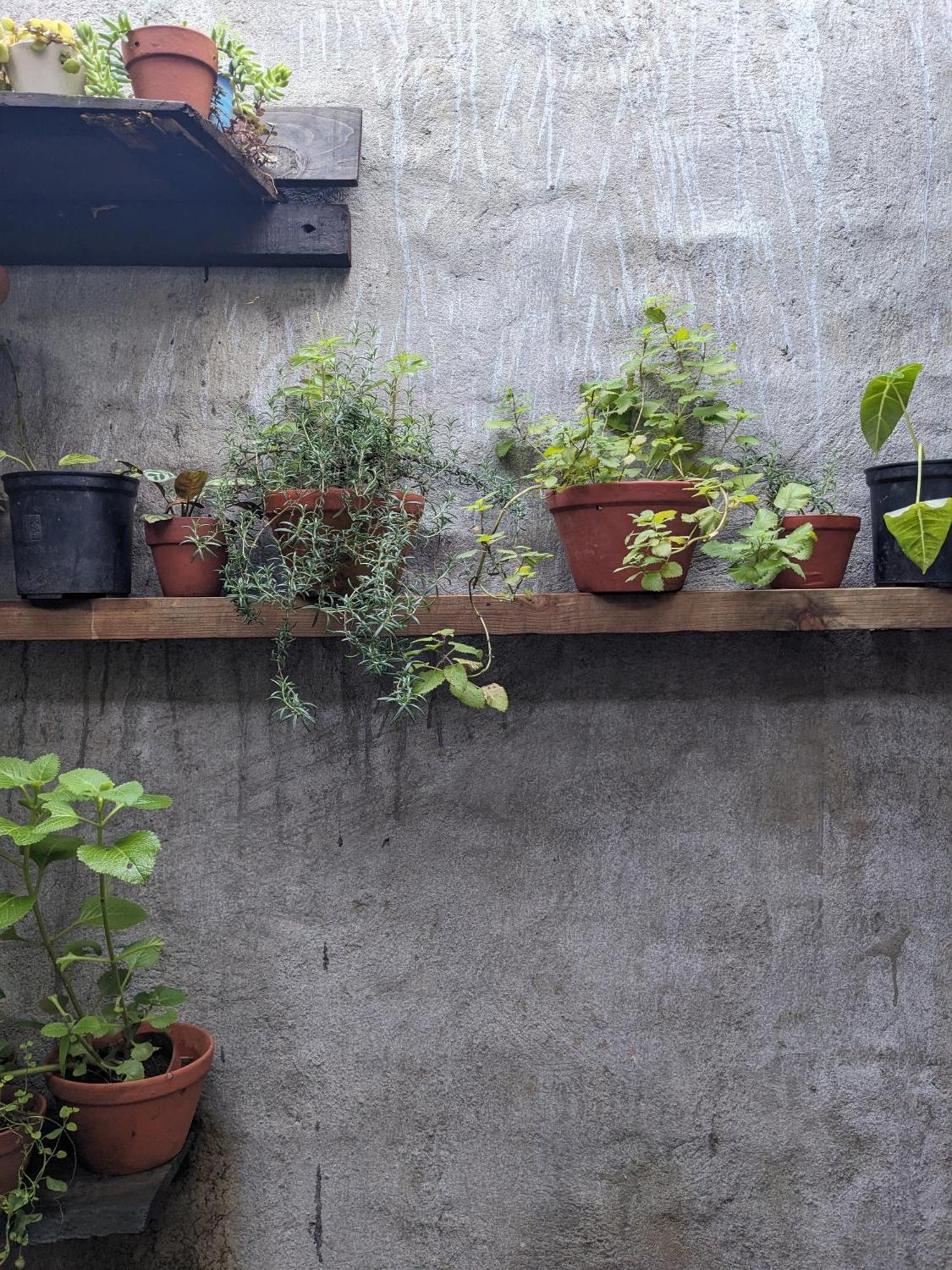 Ivy Coffee Farm - Garden House Apartment Duc Trong Exterior photo