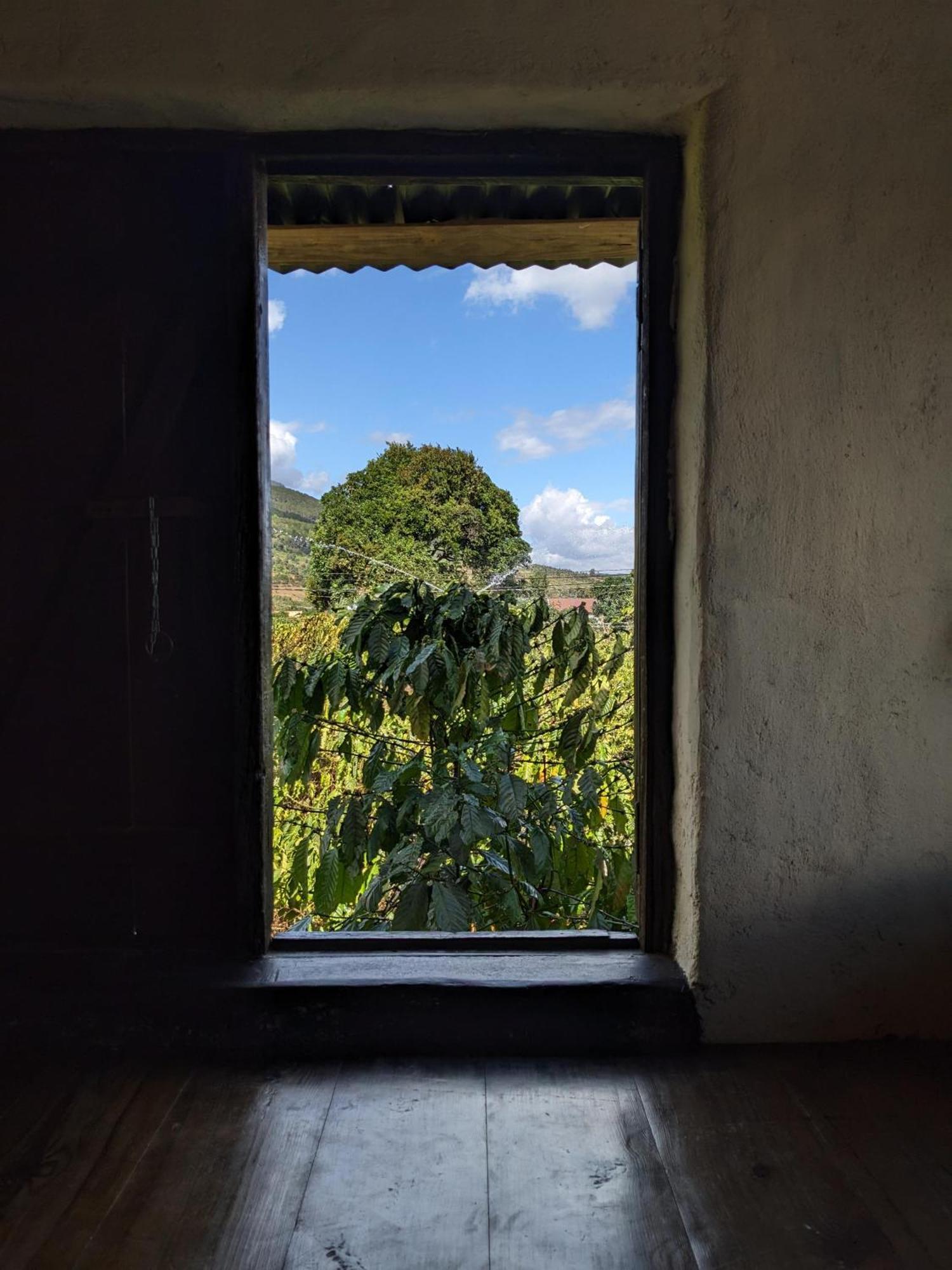 Ivy Coffee Farm - Garden House Apartment Duc Trong Exterior photo