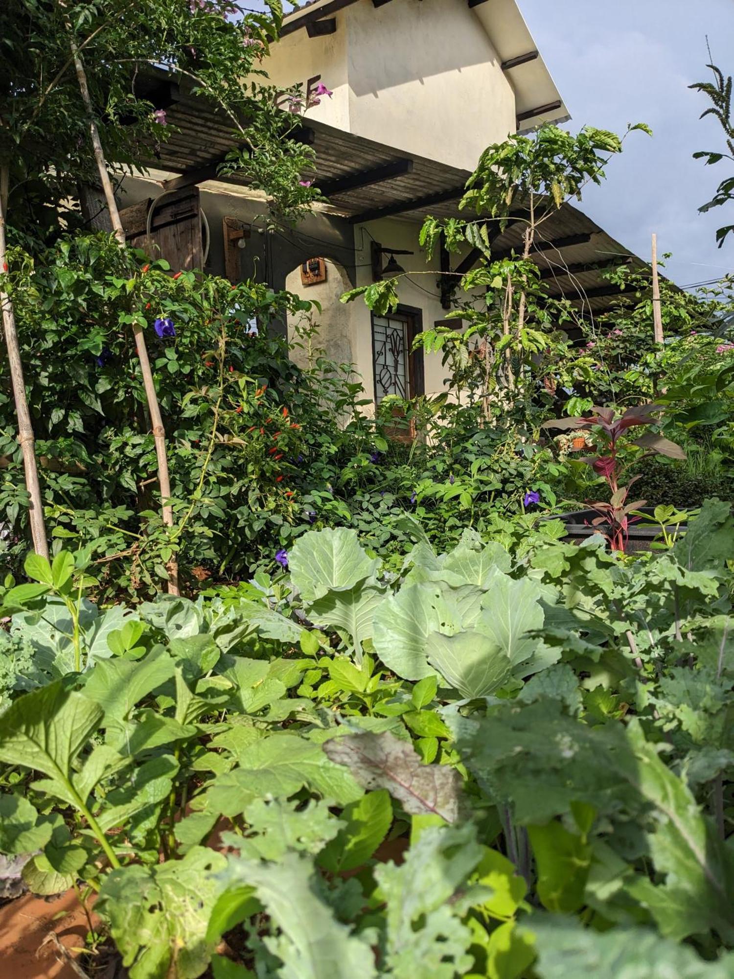 Ivy Coffee Farm - Garden House Apartment Duc Trong Exterior photo