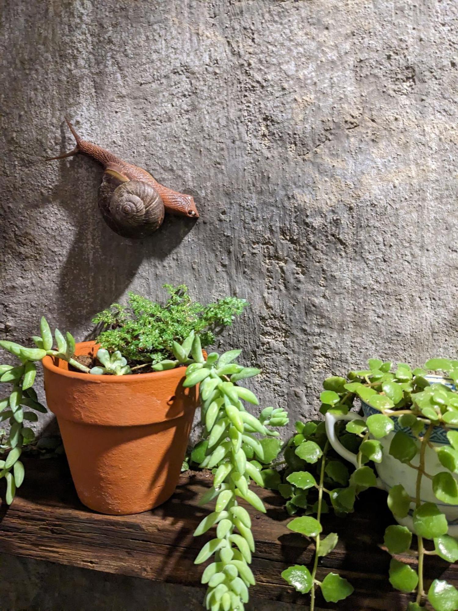 Ivy Coffee Farm - Garden House Apartment Duc Trong Exterior photo