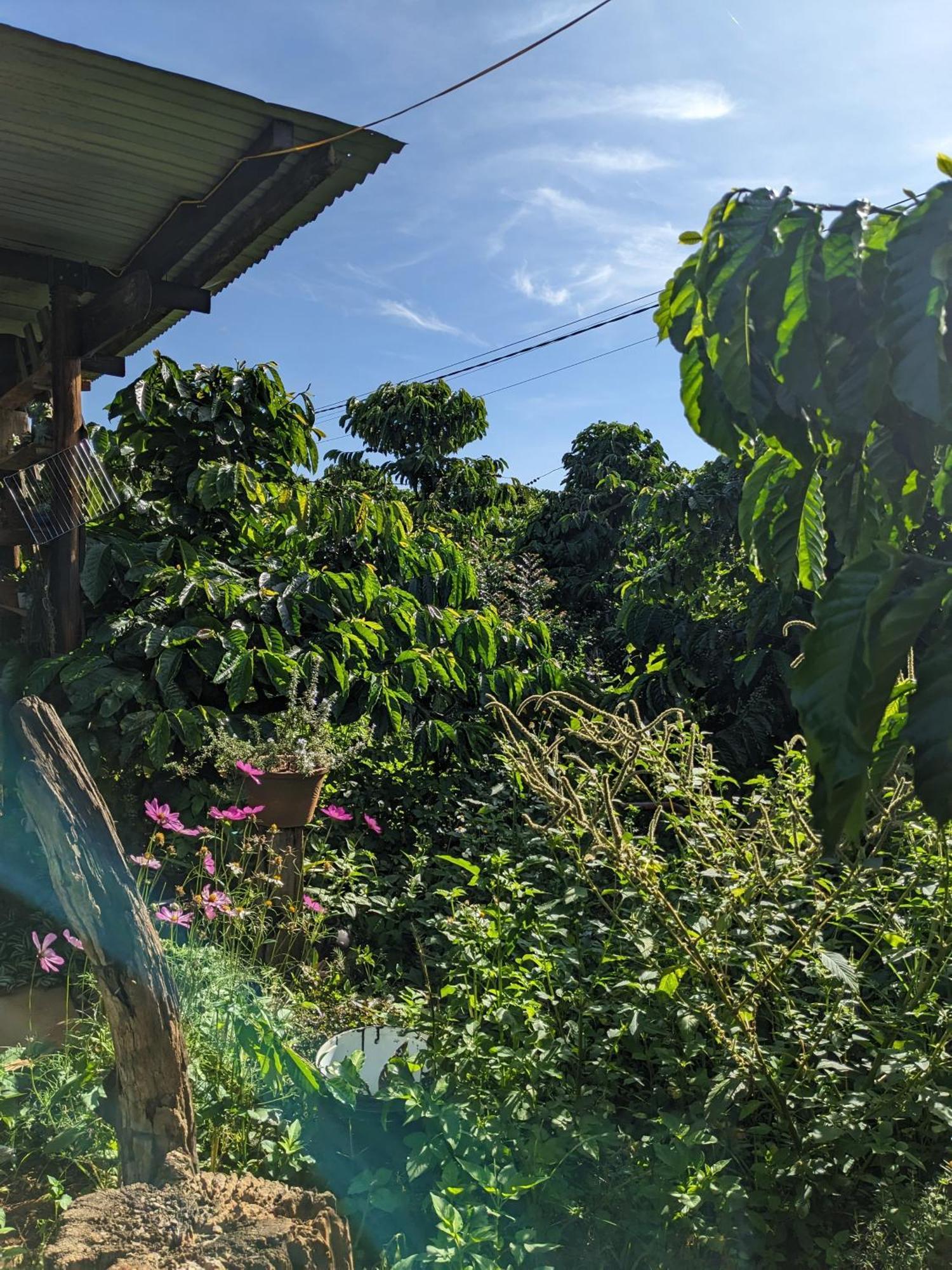 Ivy Coffee Farm - Garden House Apartment Duc Trong Exterior photo